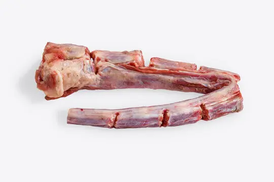INDIAN BUFFALO TAIL